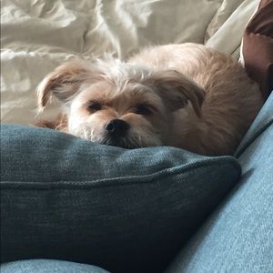 Meet your Posher, Linda